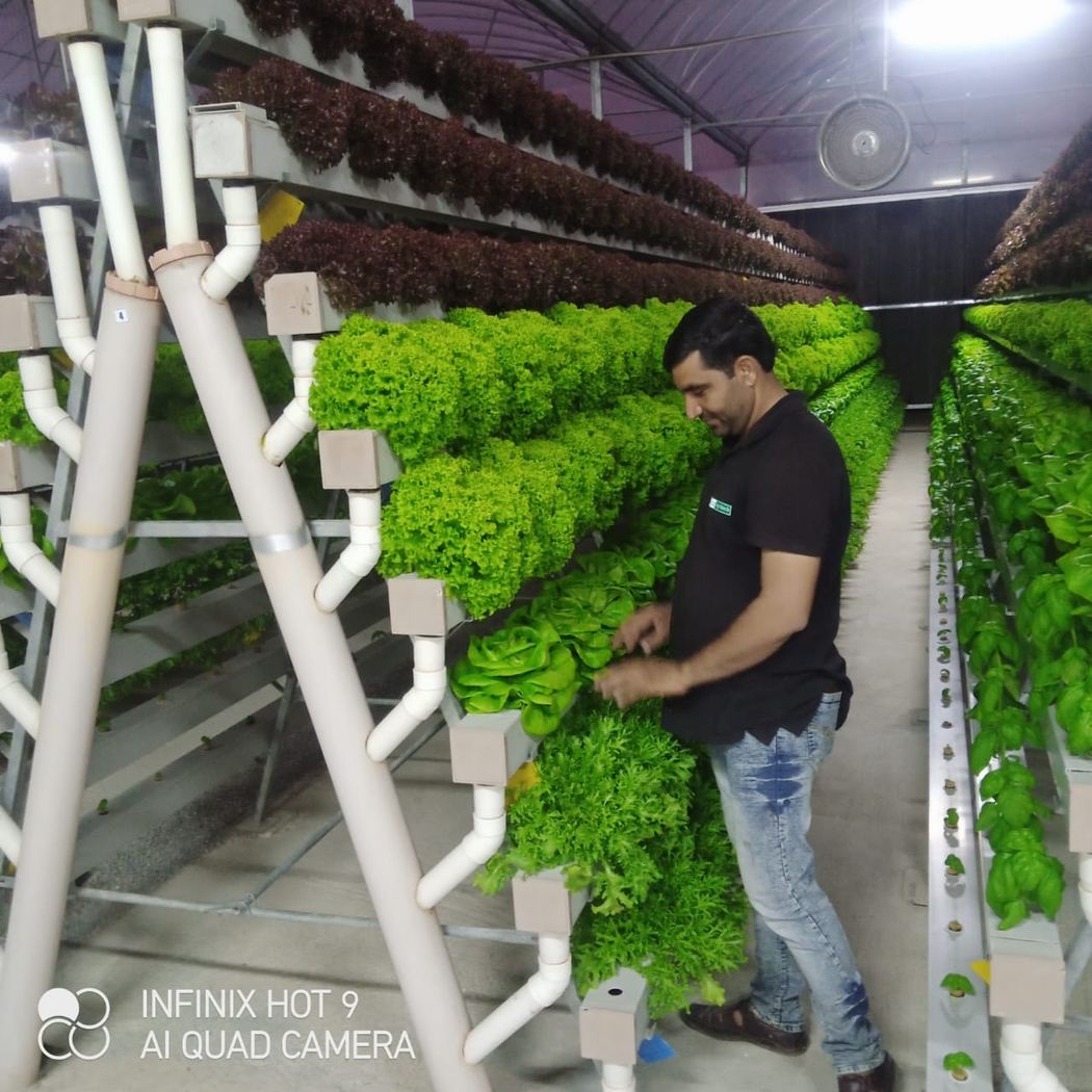 Agritech & Hydroponic Farming
