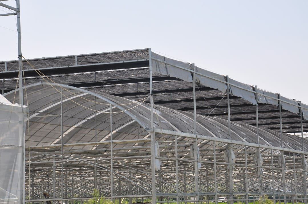 Polytunnel Farm