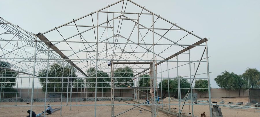 Greenhouse interior growing