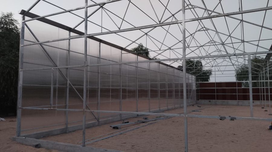 Green house structure UAE