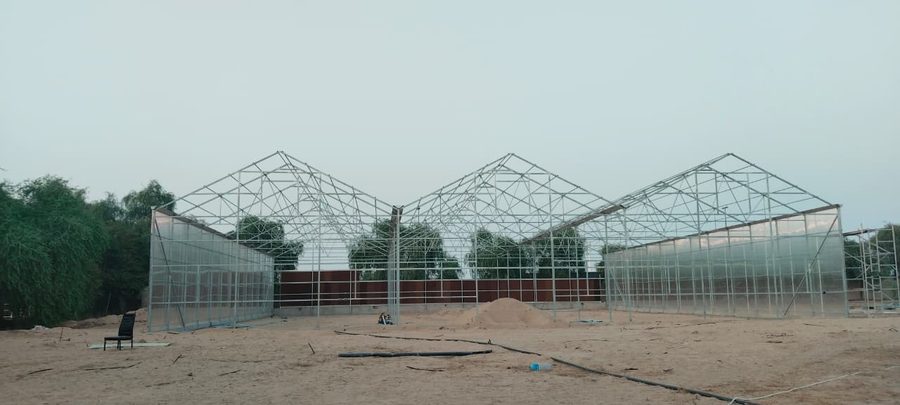 Greenhouse seedling nursery