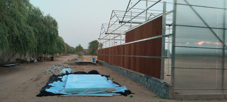 Commercial Greenhouse Dubai