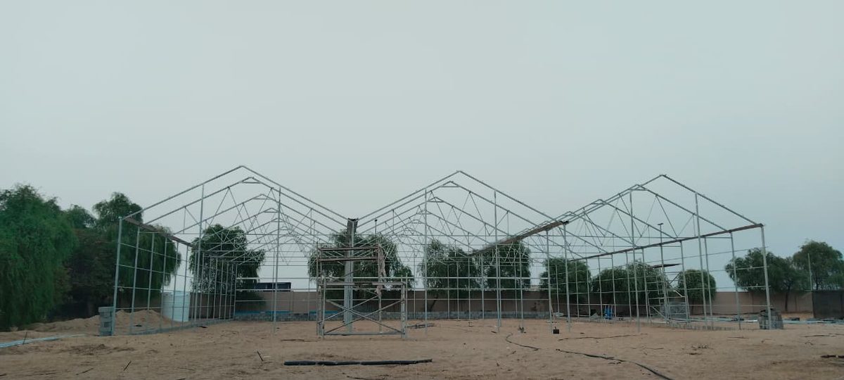 Green House UAE