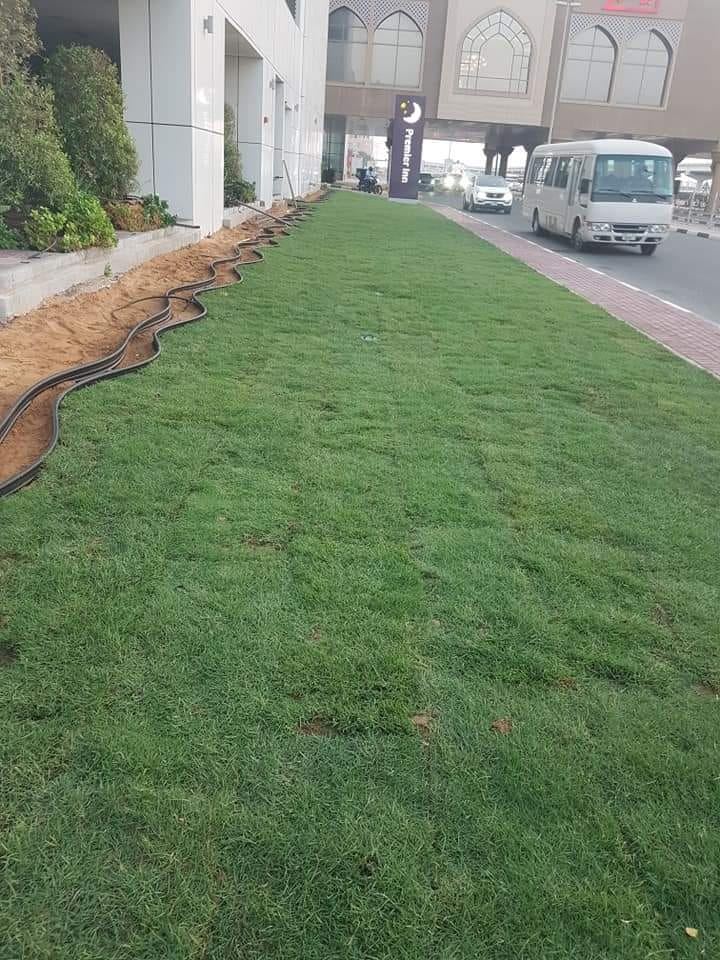 Landscape & Gardening