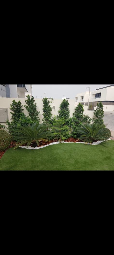 Modern stepping stone pathway