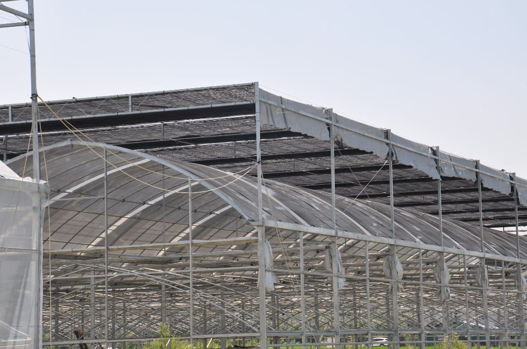 Growing Structure