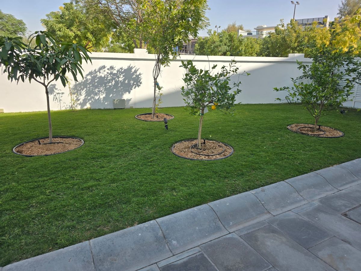 Pool Project