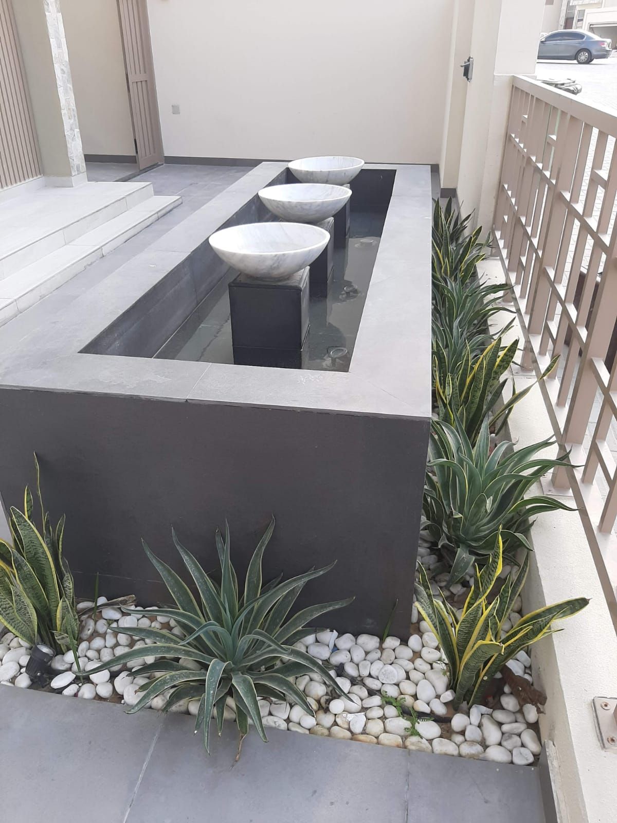Garden Plants