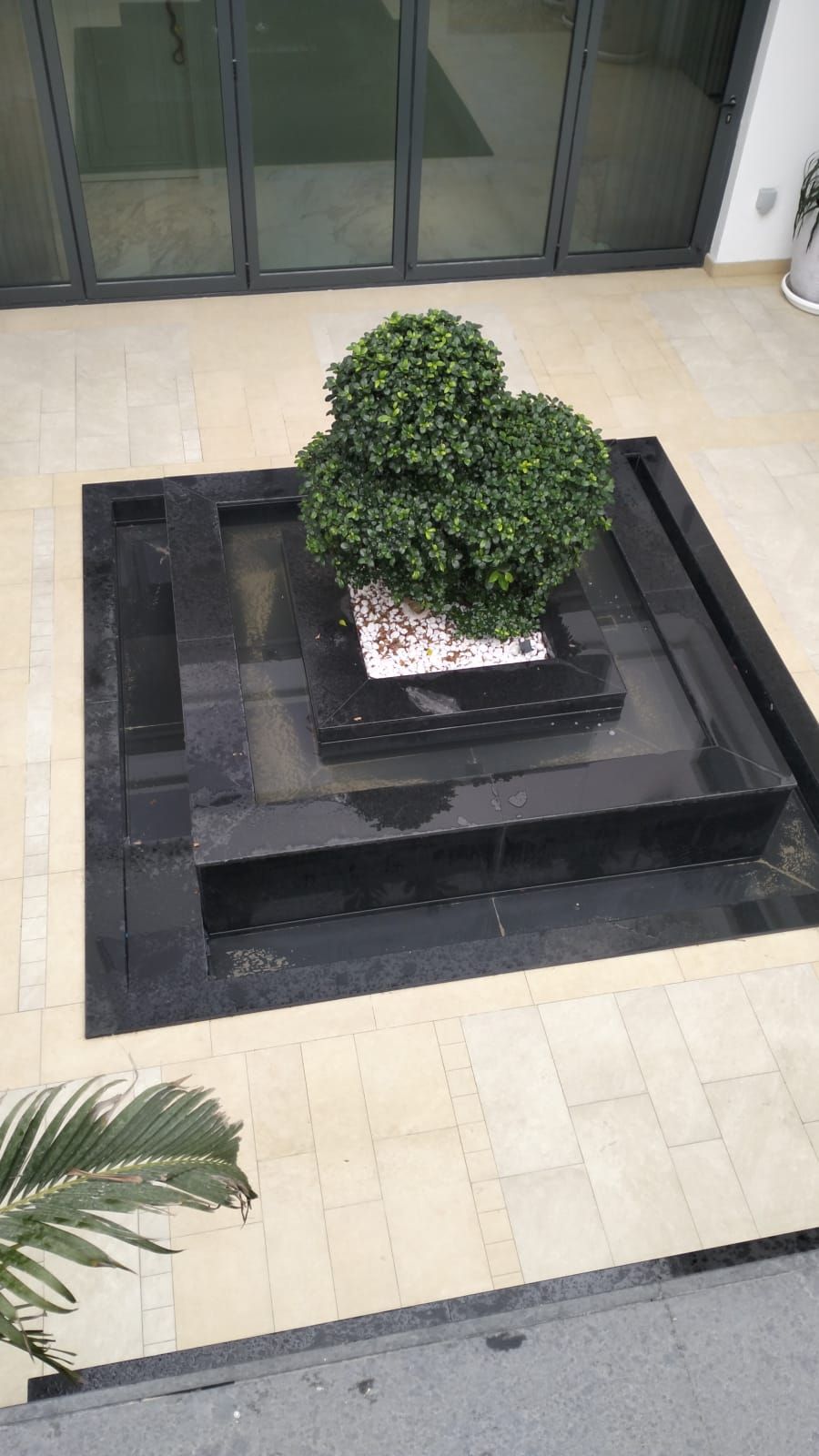 Topiary Tree
